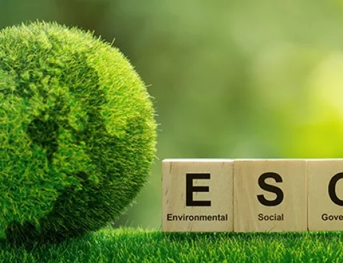 ESG Grant – Everything Business Owners in Singapore Should Know